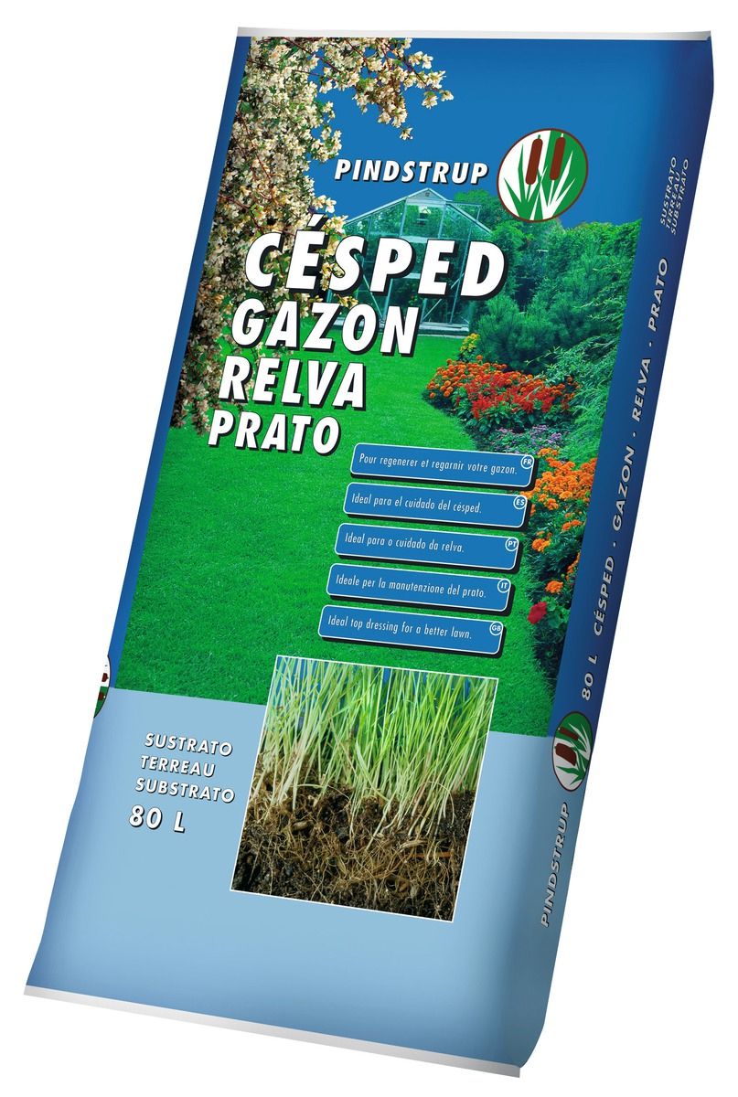 Gazon