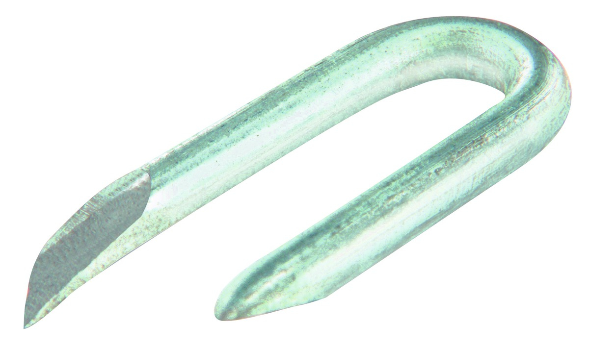 Crampillons