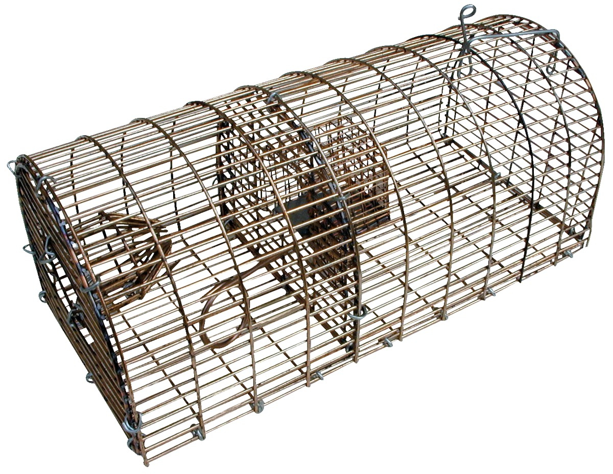 Pièges à rats et souris