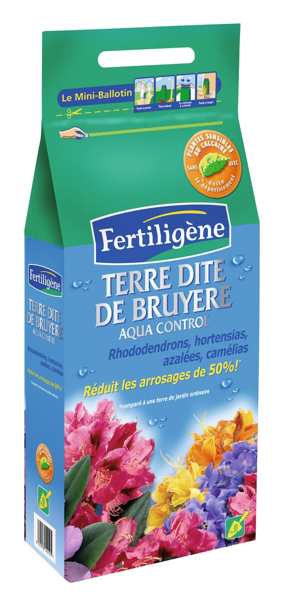 Terreaux