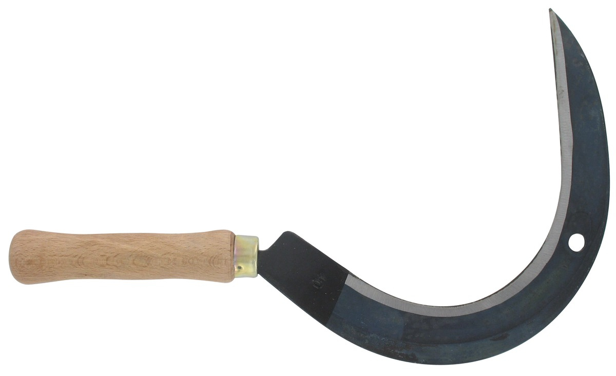 Fauchaison