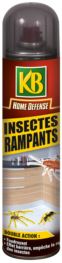 Insectes rampants KB