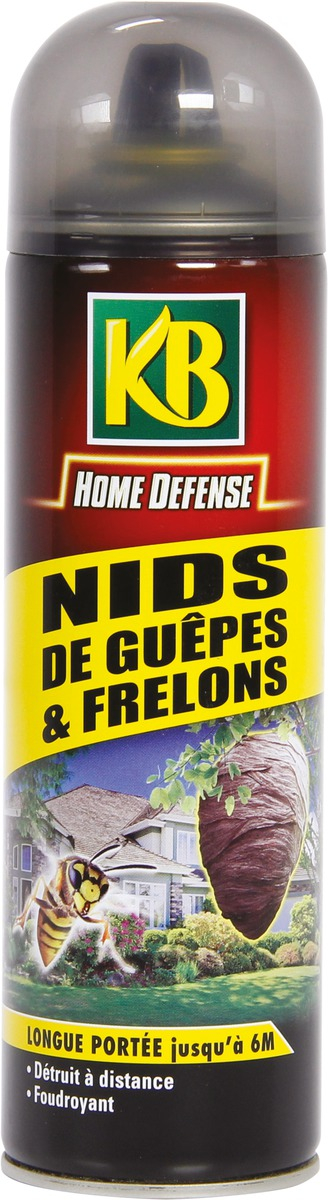 Insectes volants KB