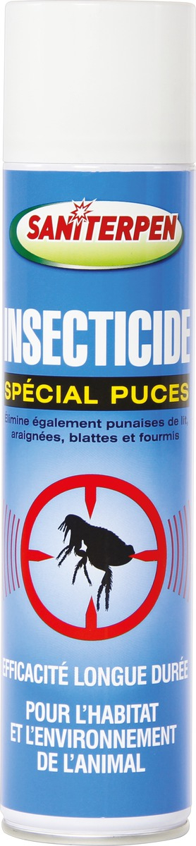 Insectes rampants autres marques